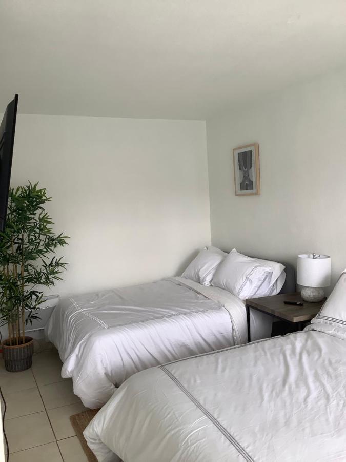 Hotel Motel Lauderdale Inn Fort Lauderdale Buitenkant foto